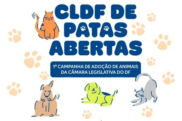 acde1507-2710-ffff-286f-c8e3dd67703f.jpeg