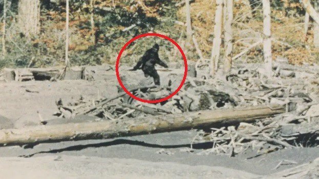 blog-bigfoot.jpg