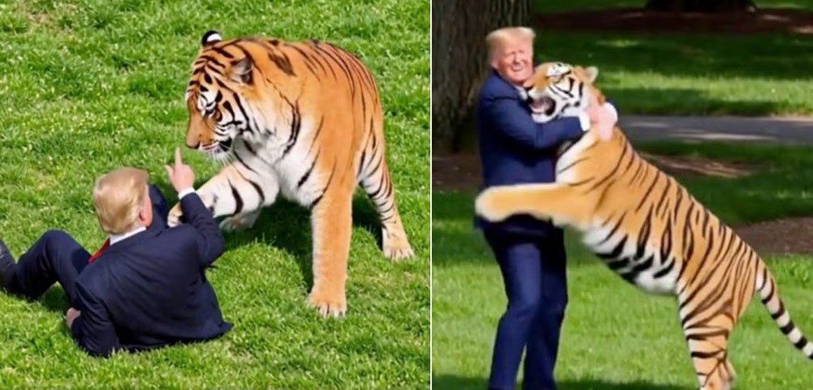 blog-trump-tiger.jpg